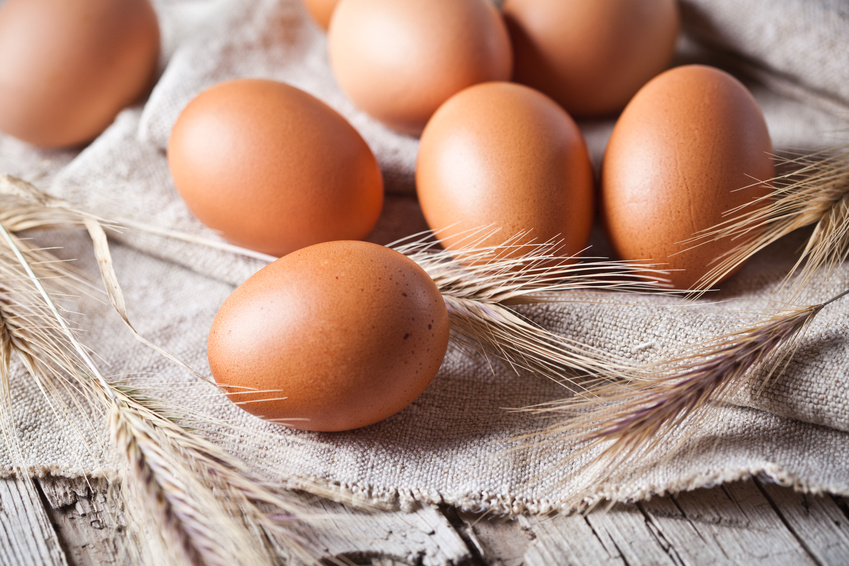 Eier