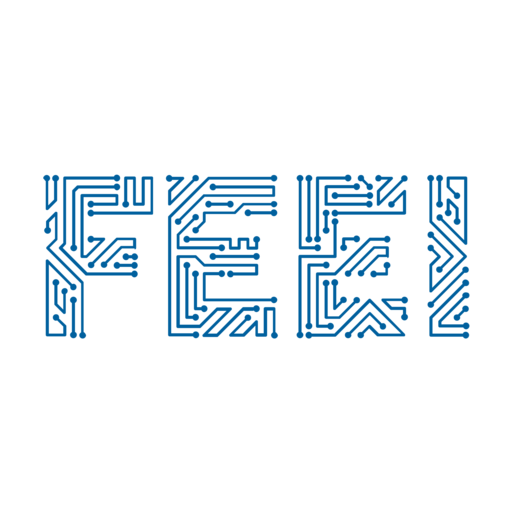 Logo_FEEI